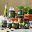 Village Candle   Village Candle 